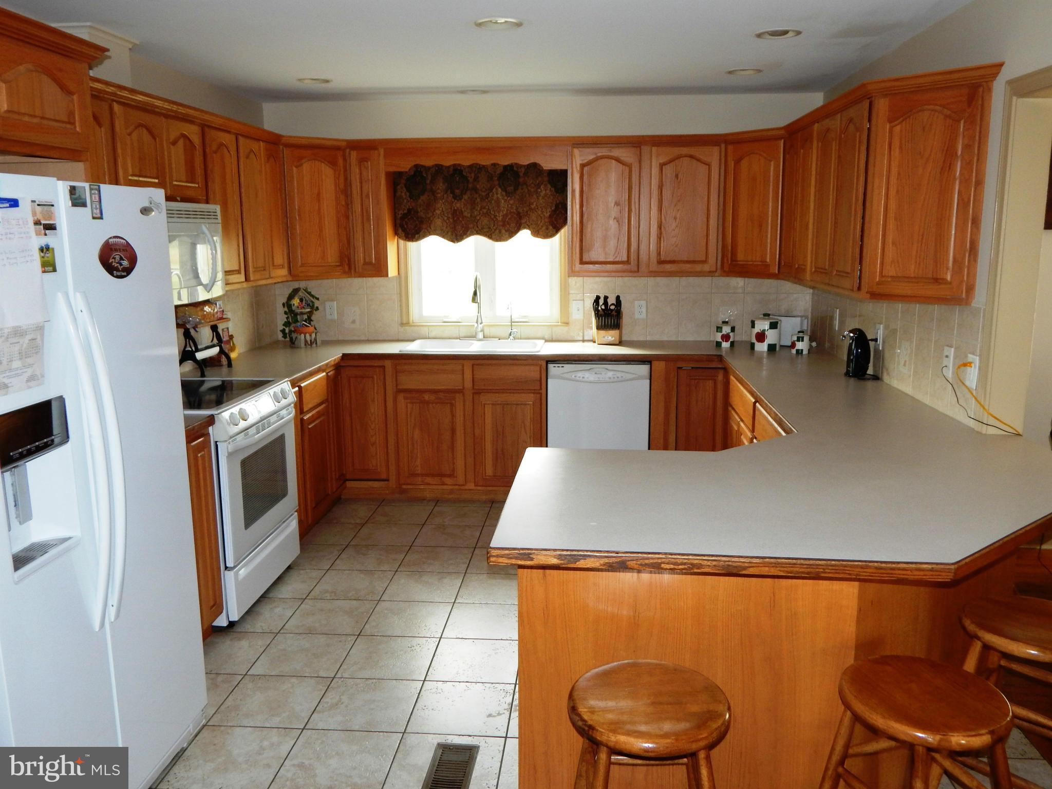 8920 Bacons Road Delmar, DE 19940 - Photo 4 of 20 Kitchen