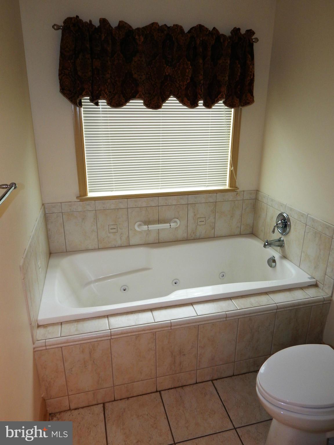 8920 Bacons Road Delmar, DE 19940 - Photo 8 of 20 Bath (Master)