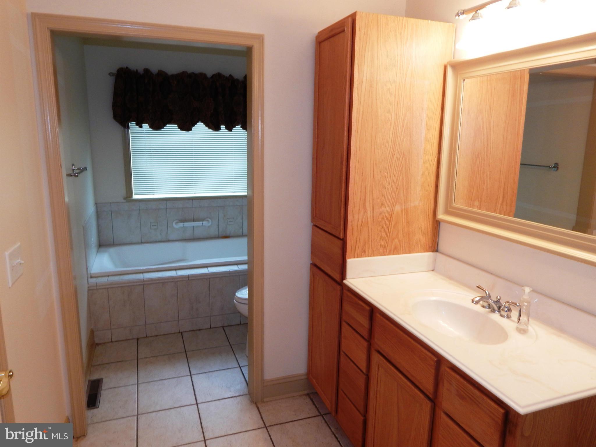 8920 Bacons Road Delmar, DE 19940 - Photo 9 of 20 Bath (Master)