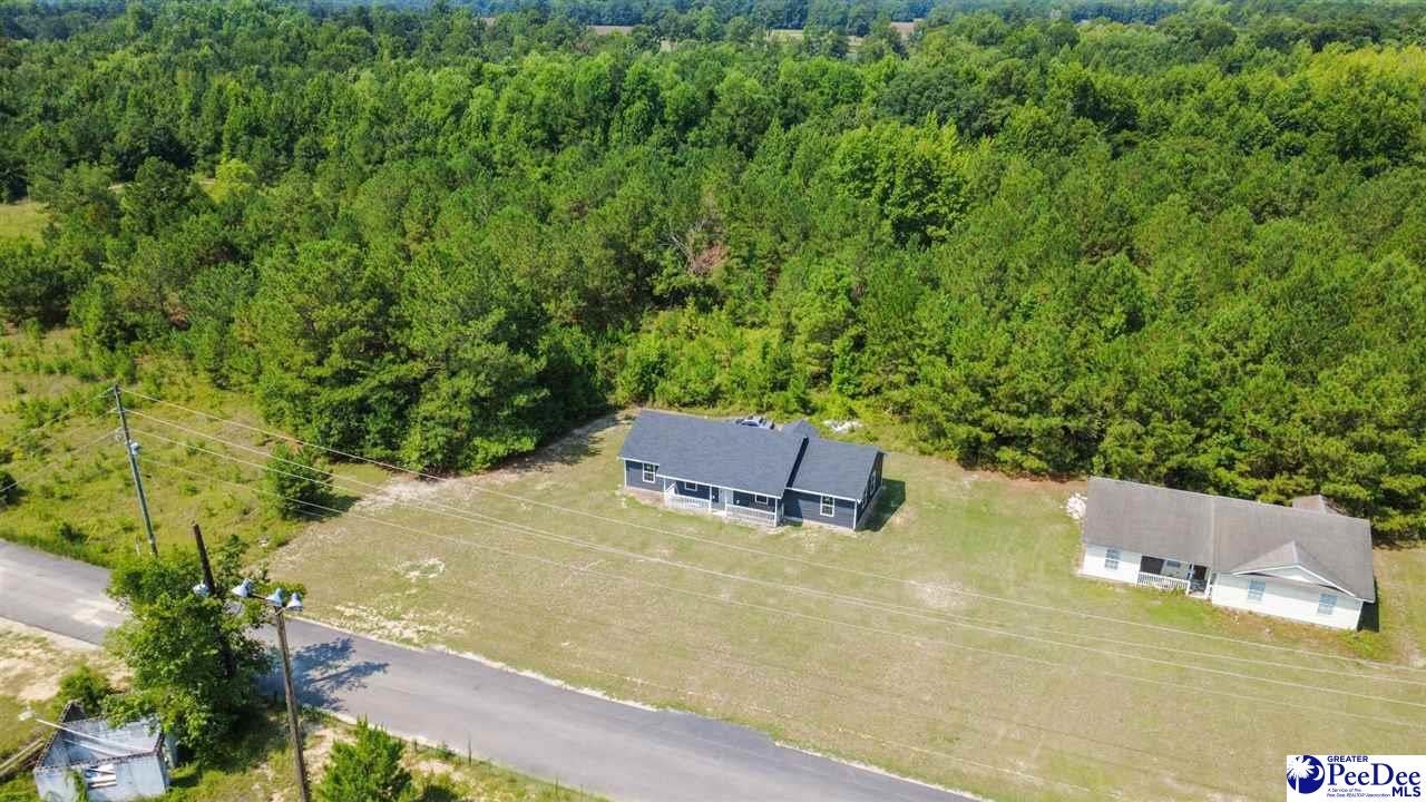 383 Red Road Olanta, SC 29114 - Photo 23 of 28 Gallery Image 23