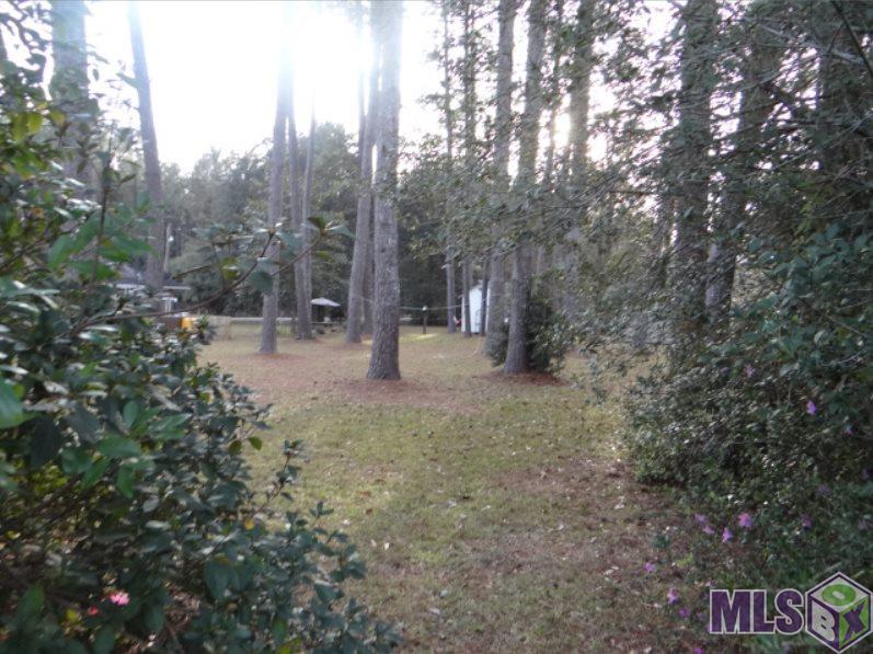 Lot 10 Ranchero Avenue Denham Springs, LA 70726 - Photo 1 of 1 Gallery Image 1