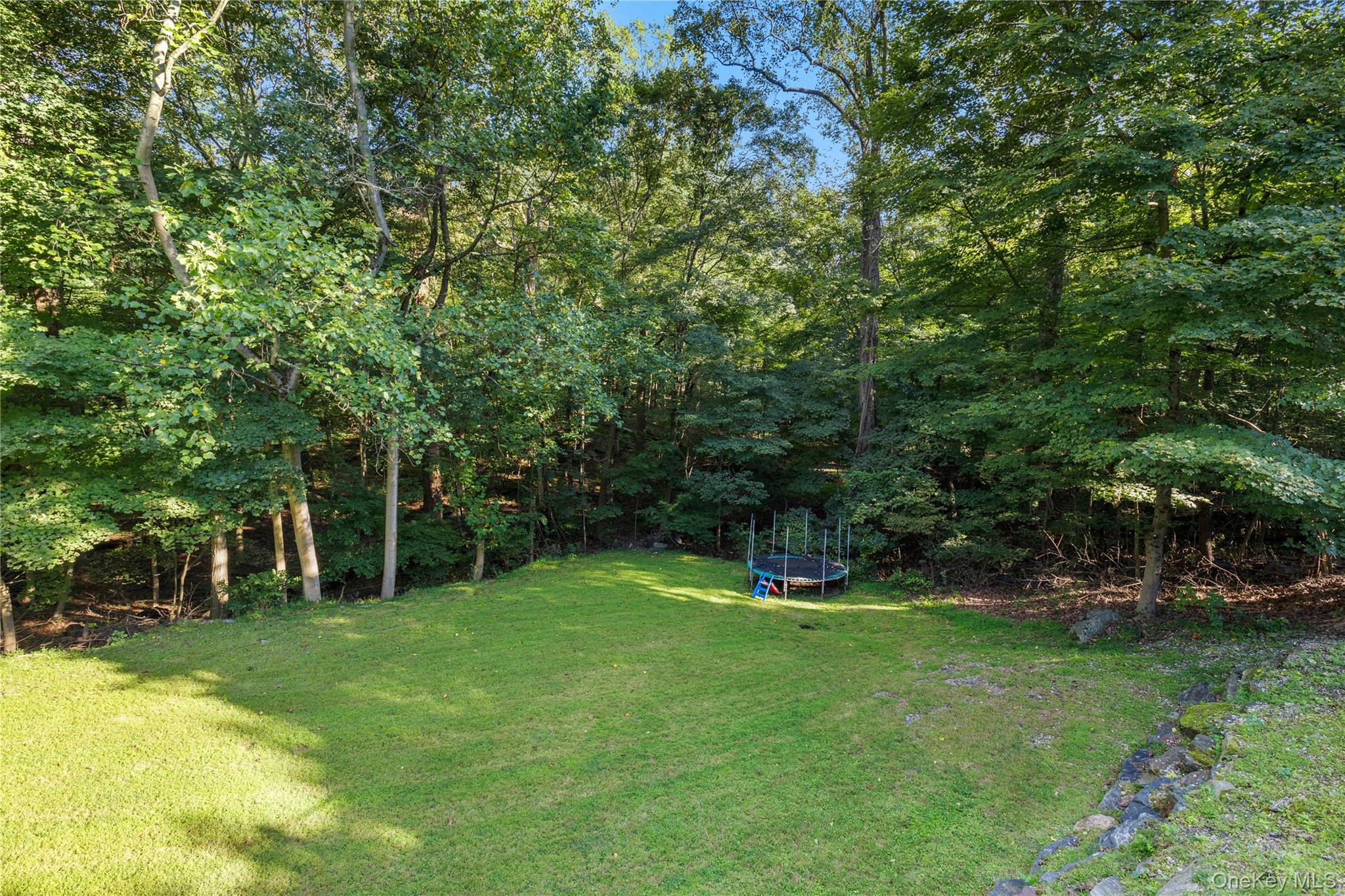 205 Polly Park Road Rye, NY 10580 - Photo 33 of 33 a view of a backyard with a slide
