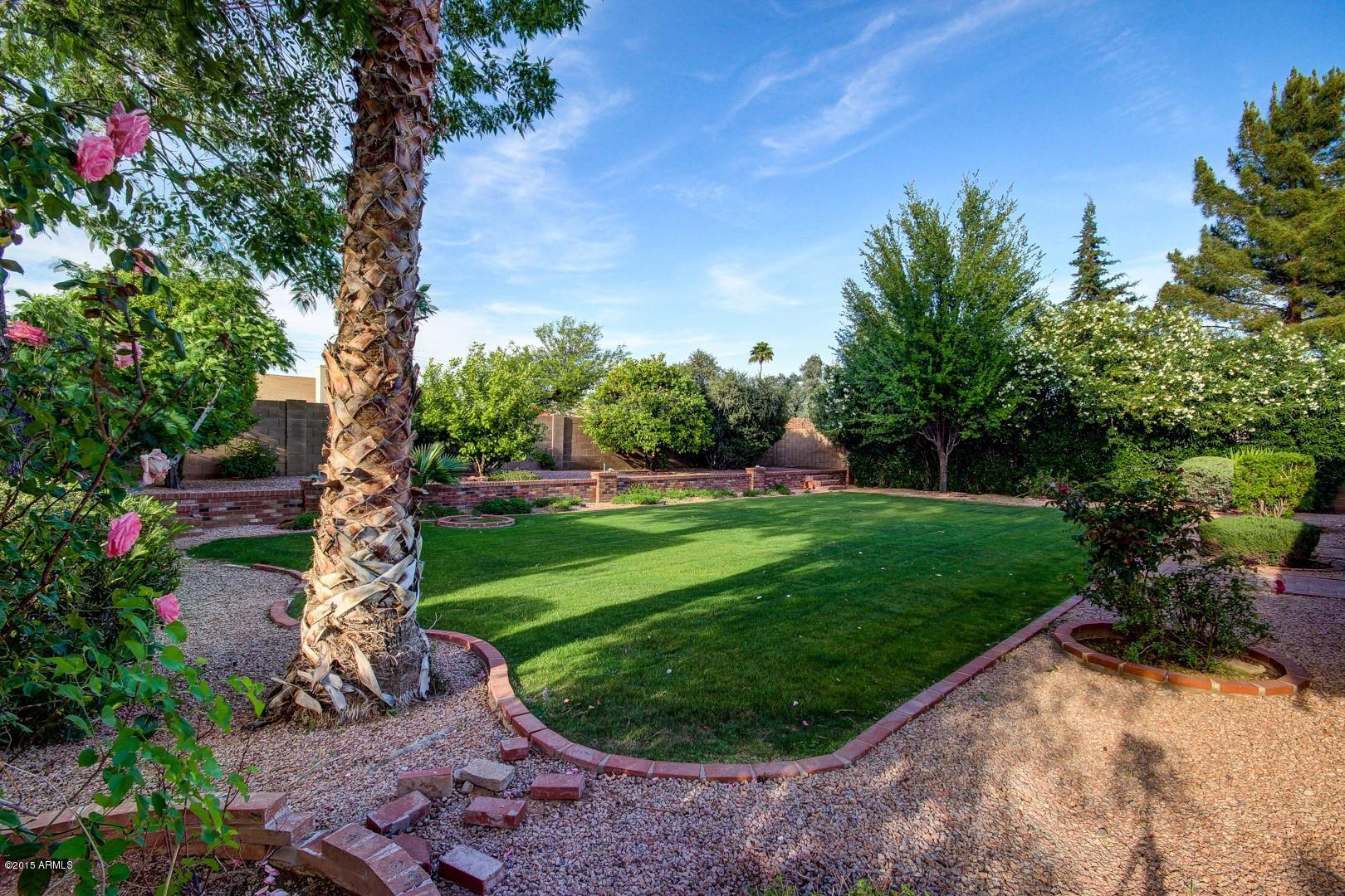 4512 East Phelps Road Phoenix, AZ 85032 - Photo 20 of 22 Phelps Road (35).jpg