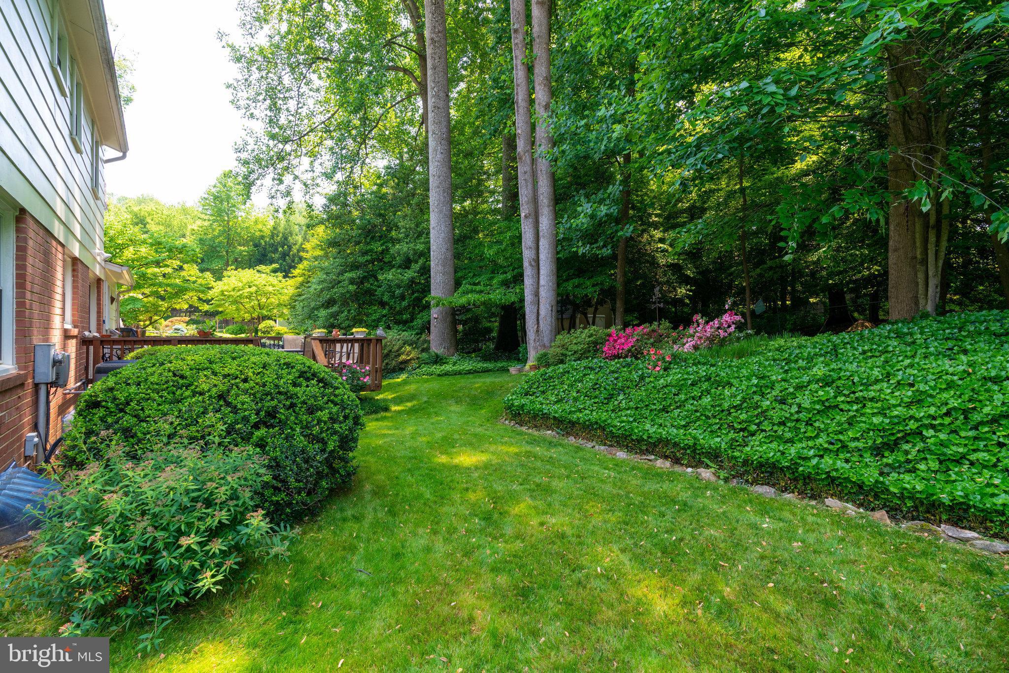 8707 Fox Ridge Road Springfield, VA 22152 - Photo 50 of 65
