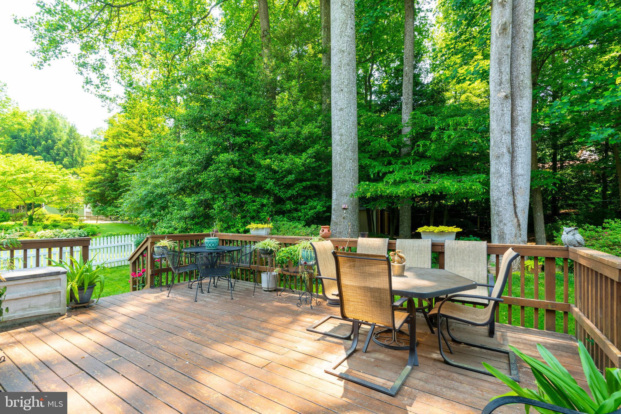 8707 Fox Ridge Road Springfield, VA 22152 - Photo 53 of 65