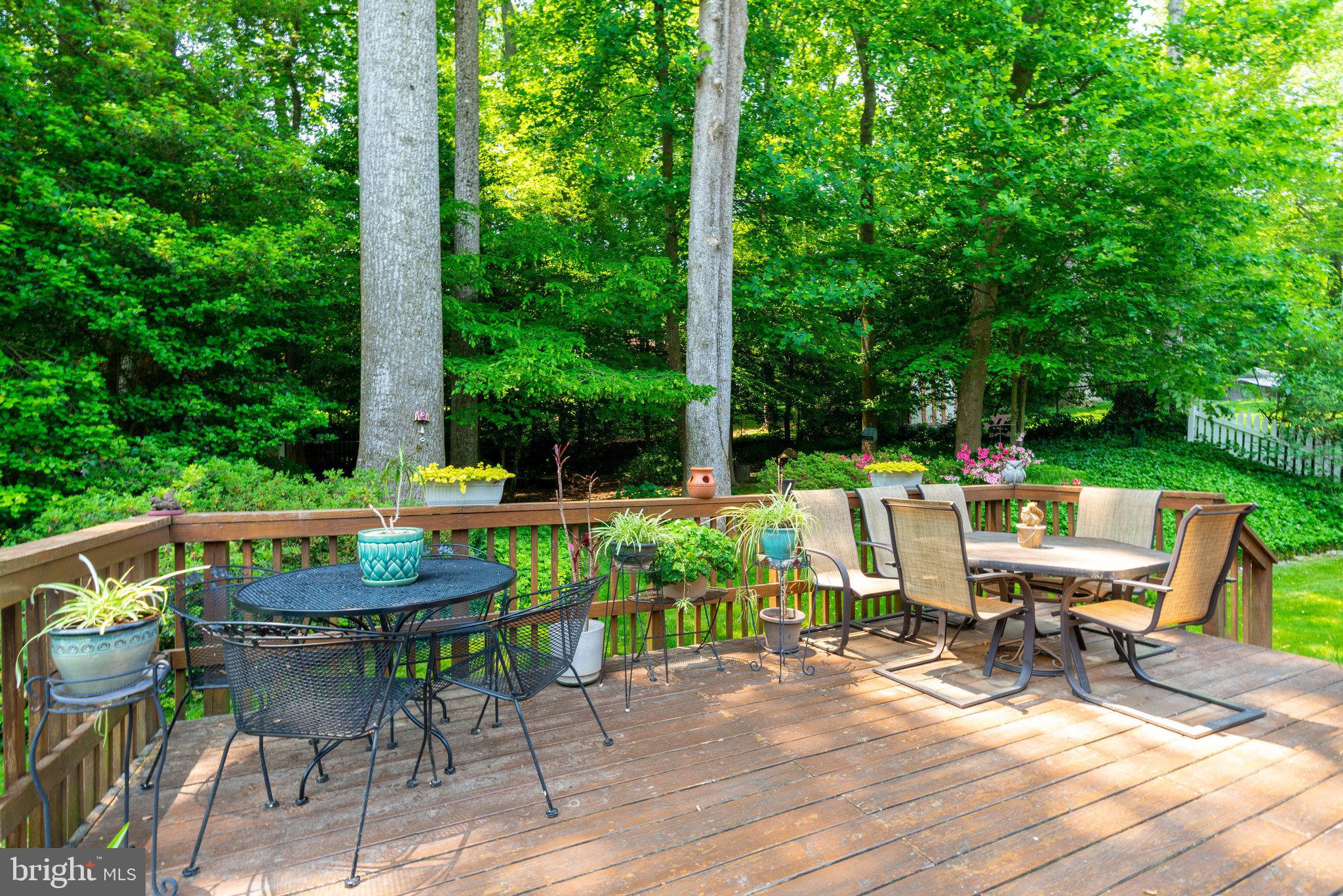 8707 Fox Ridge Road Springfield, VA 22152 - Photo 54 of 65