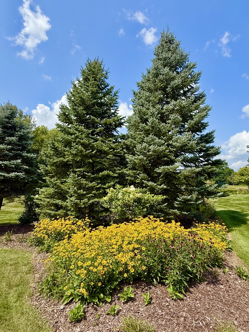 19132 Boulder Ridge Court Mokena, IL 60448 - Photo 48 of 57 Gallery Image 48