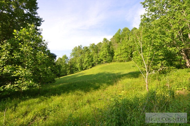 167 Mountain Home Road Banner Elk, NC 28604 - Photo 20 of 28 Gallery Image 20