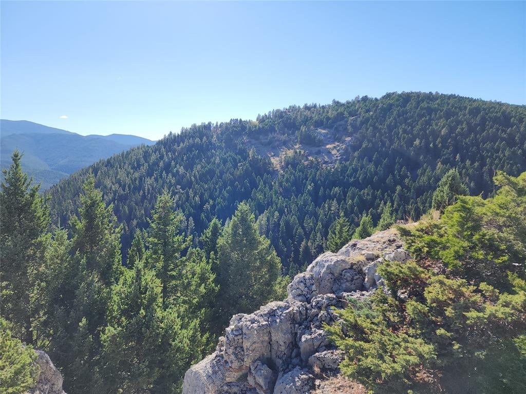 Tbd Tbd Logging Creek Road Monarch, MT 59463 - Photo 10 of 14 Gallery Image 10