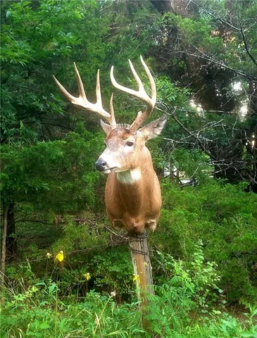 $372,500 | 2317 Maple Road, Fort Scott, KS 66701