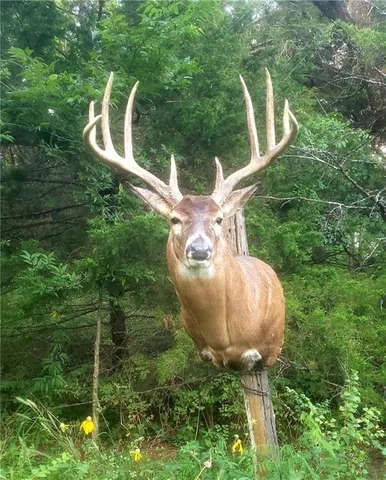 $372,500 | 2317 Maple Road, Fort Scott, KS 66701