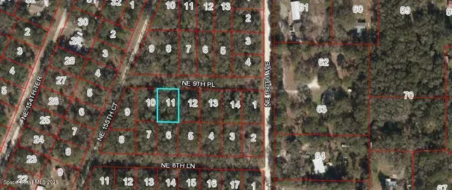 a close up of a tree