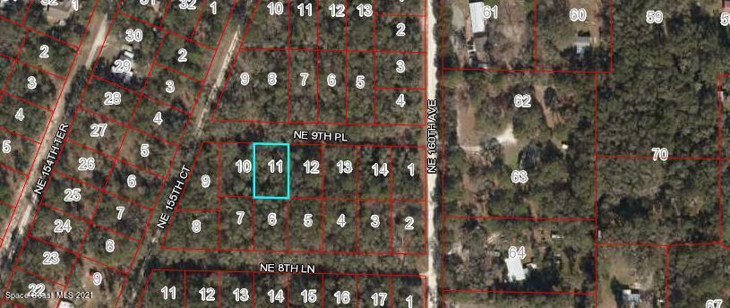 0 Northeast 9th Place Williston, FL 32696 - Photo 2 of 2 a close up of a tree