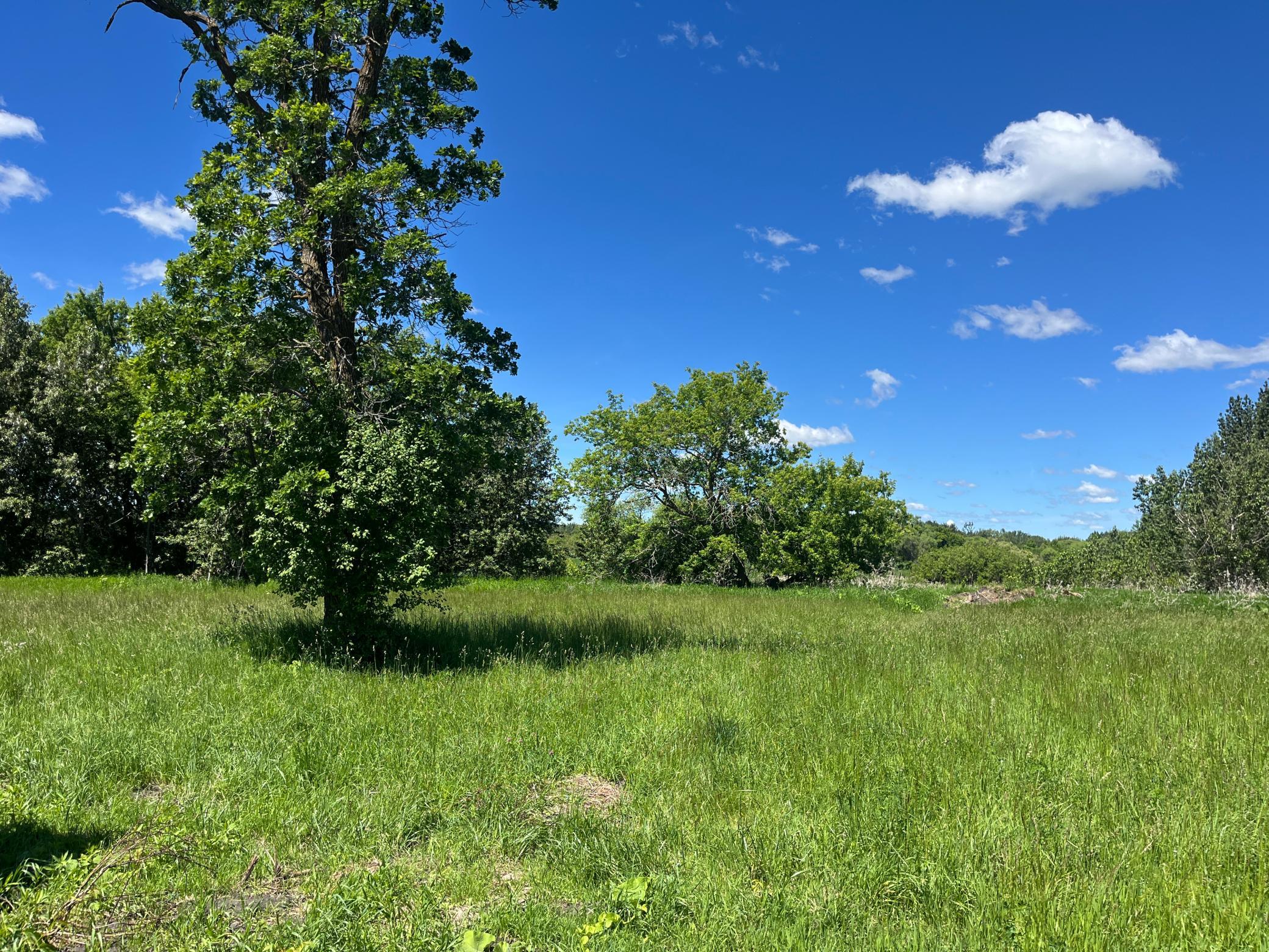 28232 370th Street Southeast McIntosh, MN 56556 - Photo 51 of 62