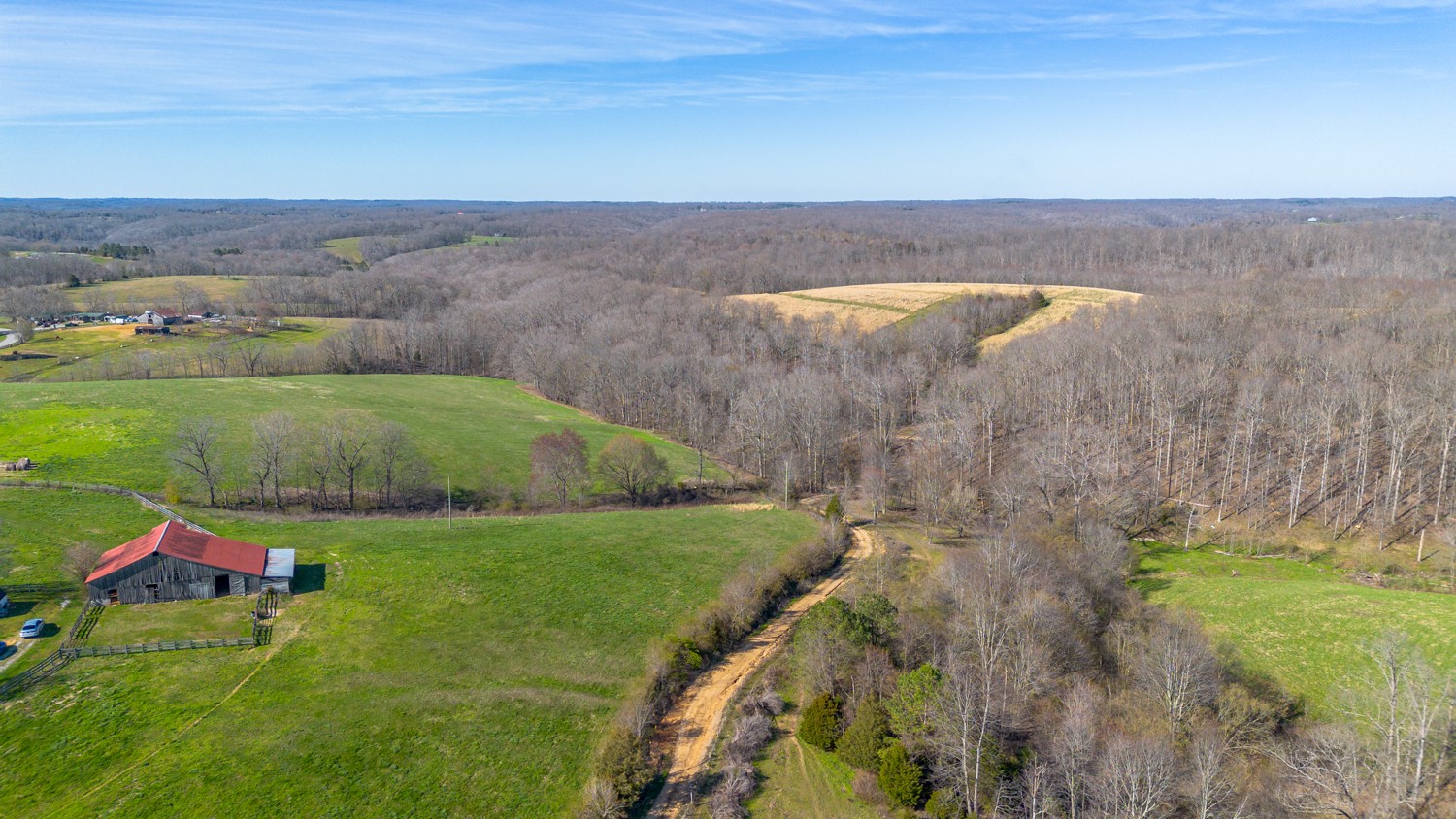 6376 Beard Road Primm Springs, TN 38476 - Photo 15 of 46