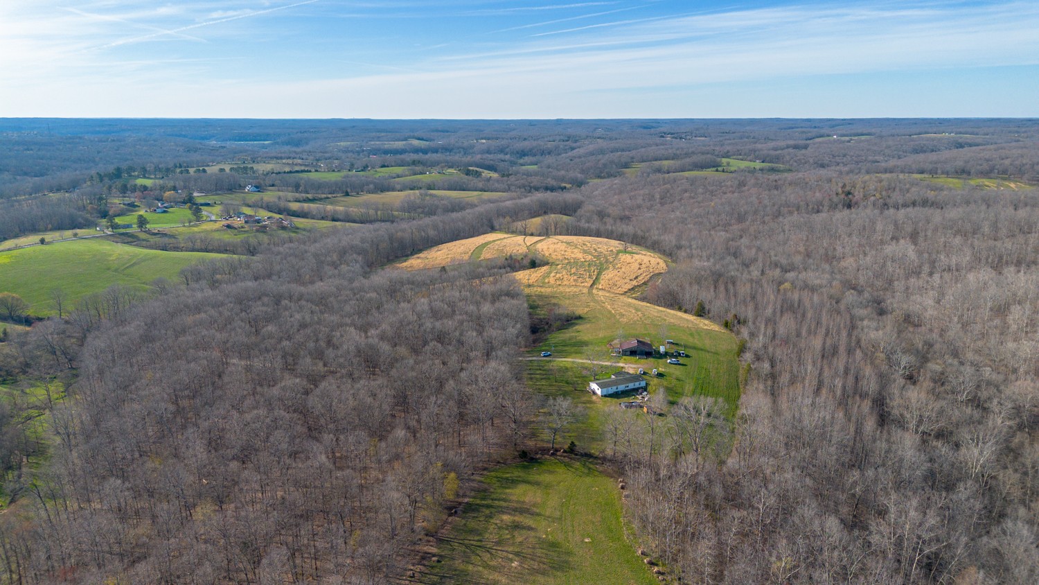 6376 Beard Road Primm Springs, TN 38476 - Photo 23 of 46