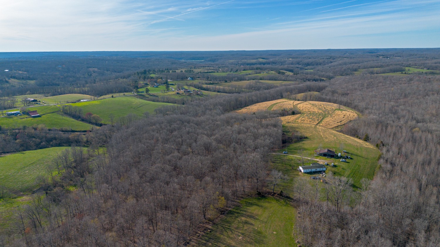 6376 Beard Road Primm Springs, TN 38476 - Photo 24 of 46