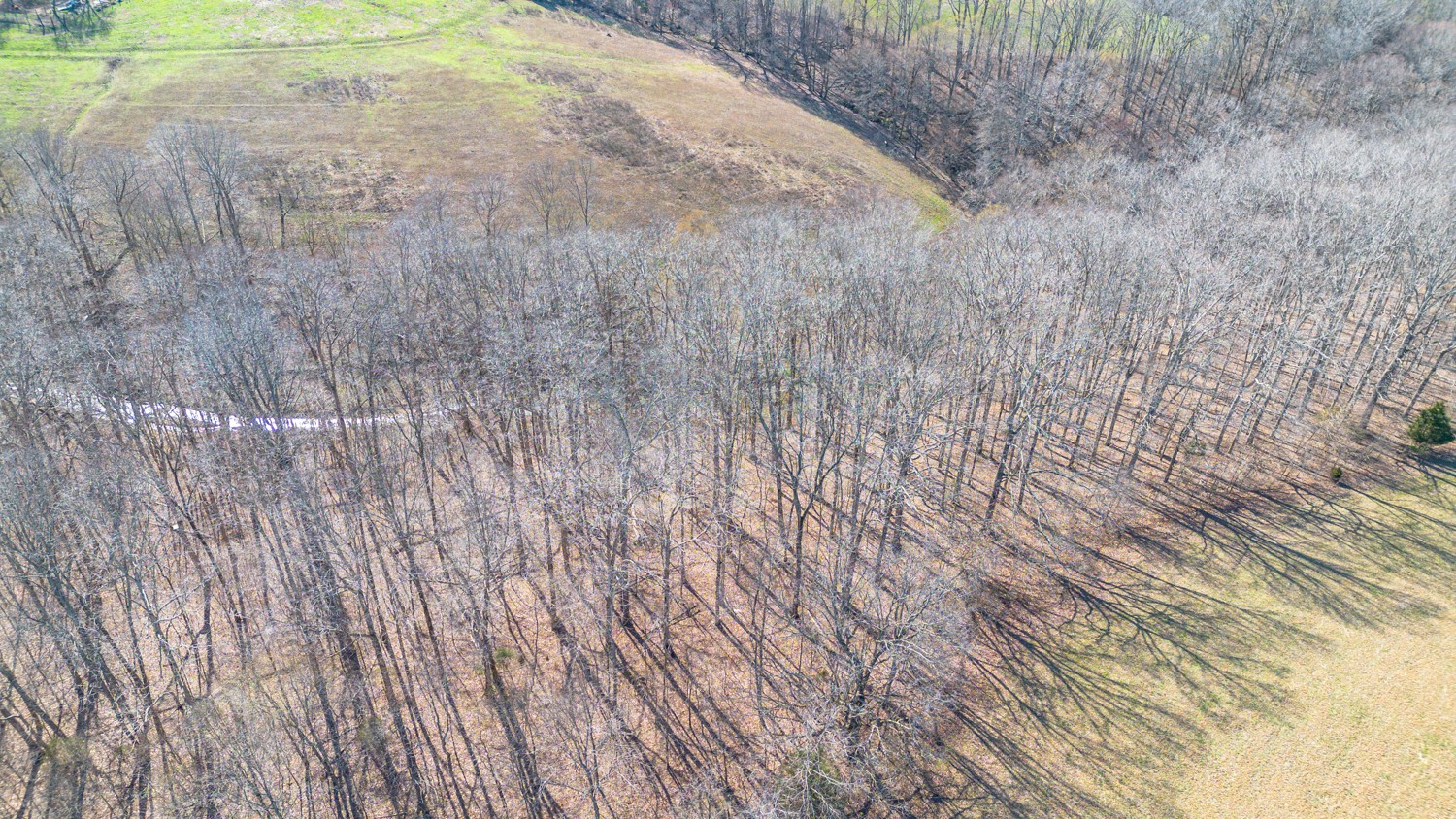 6376 Beard Road Primm Springs, TN 38476 - Photo 30 of 46