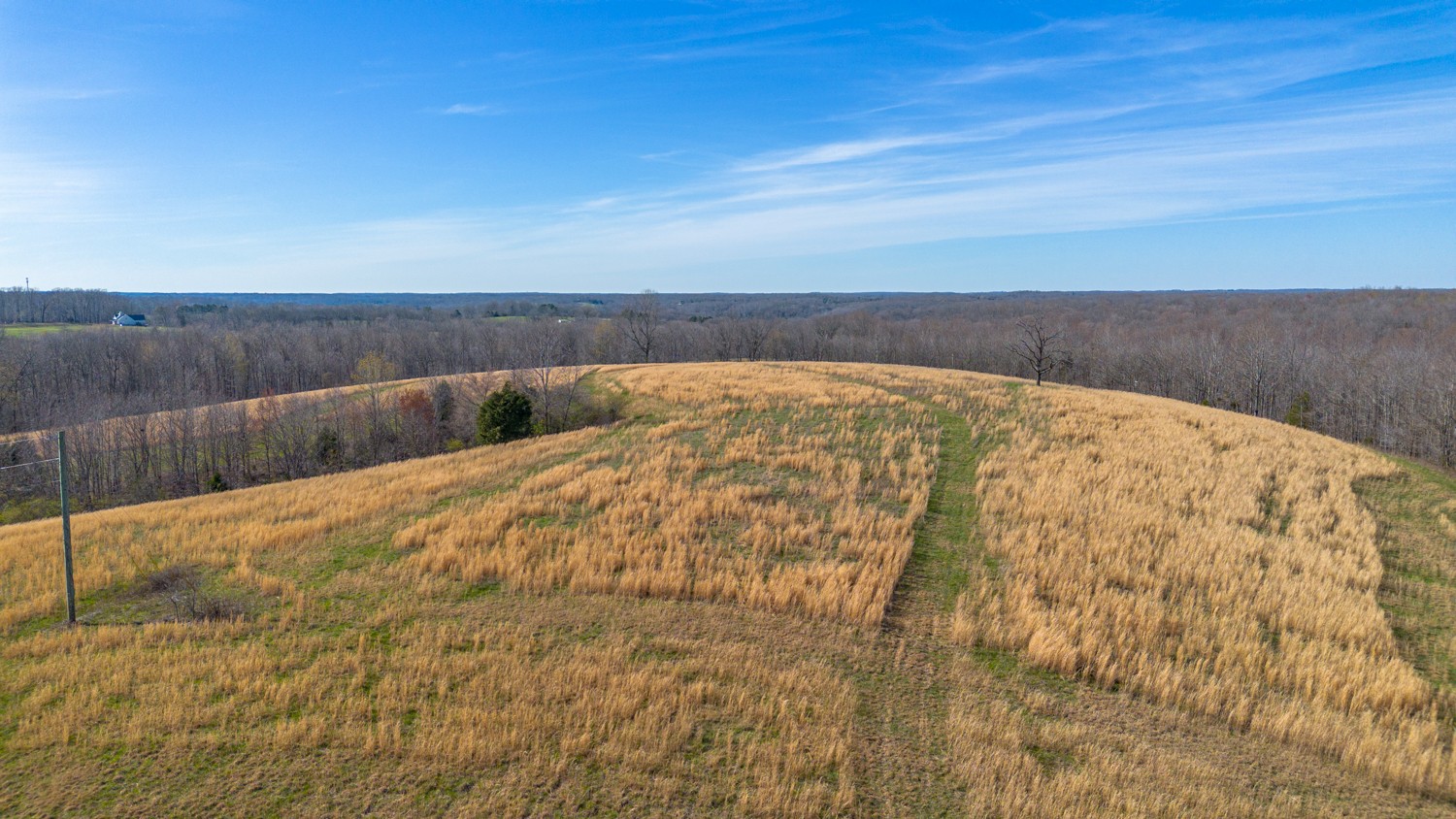 6376 Beard Road Primm Springs, TN 38476 - Photo 31 of 46