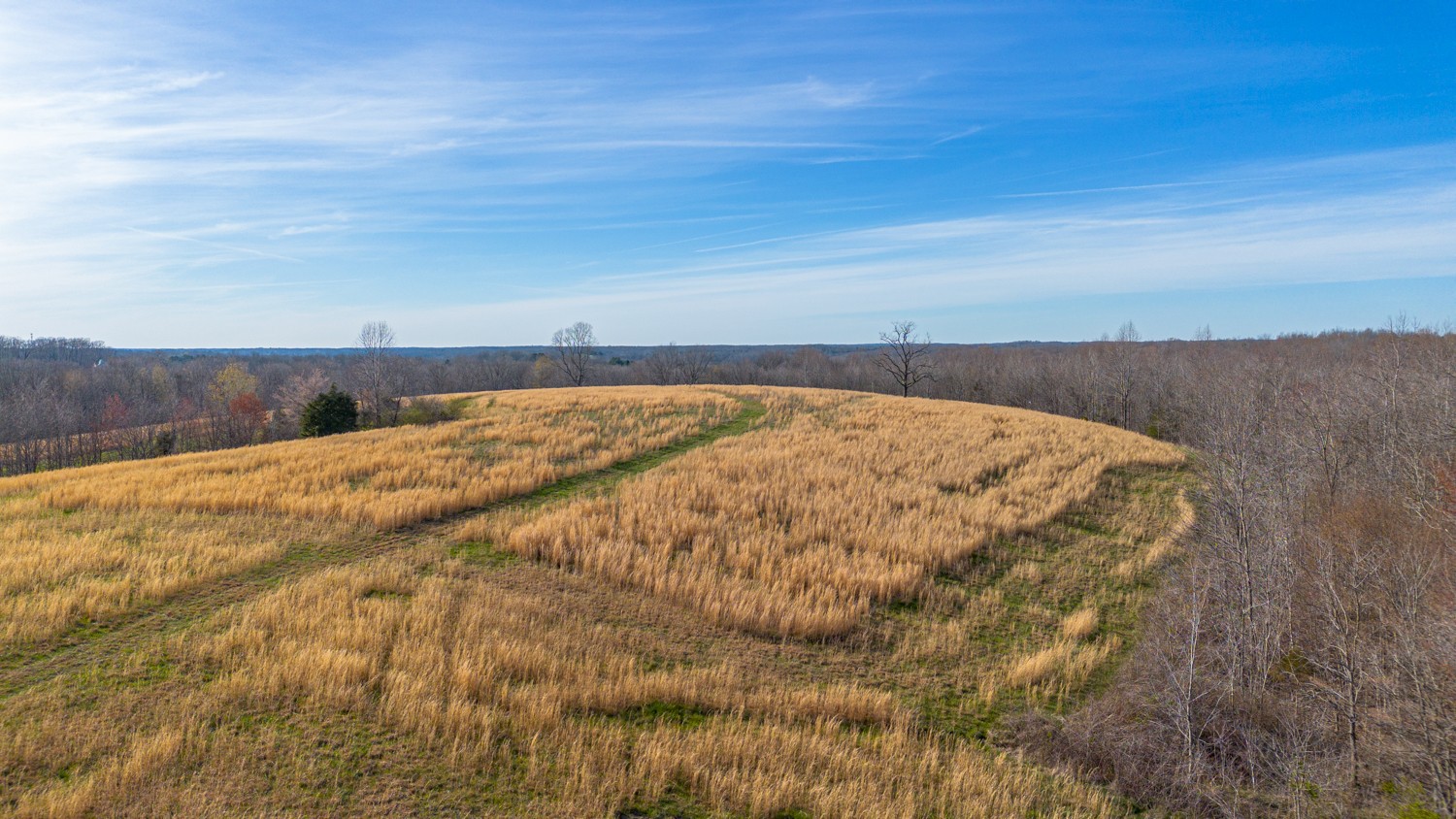 6376 Beard Road Primm Springs, TN 38476 - Photo 32 of 46