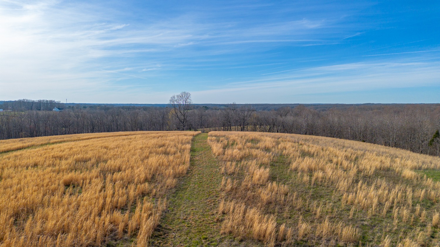 6376 Beard Road Primm Springs, TN 38476 - Photo 33 of 46