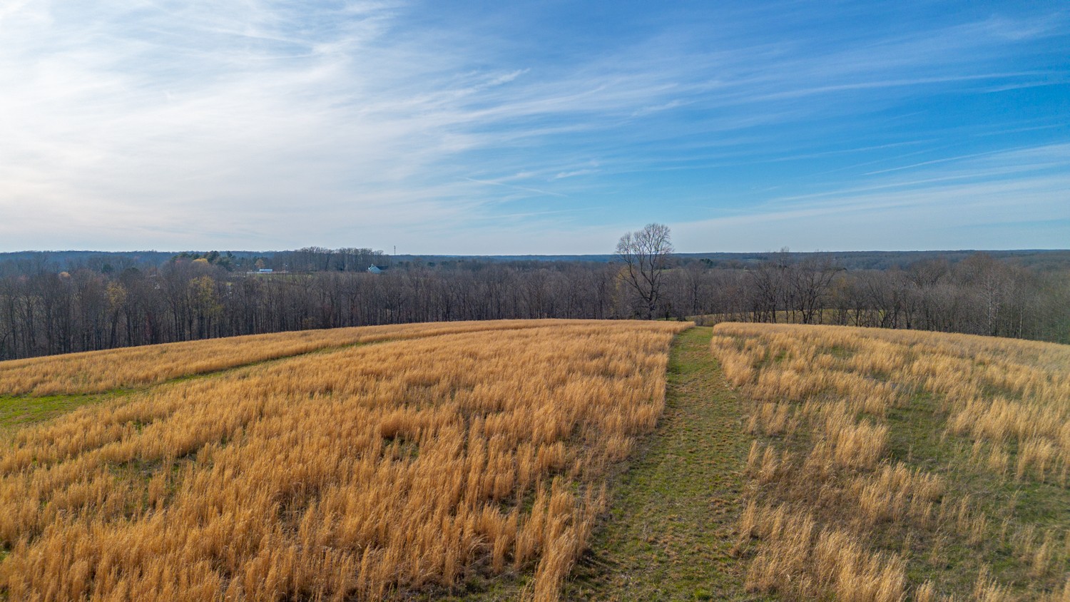 6376 Beard Road Primm Springs, TN 38476 - Photo 34 of 46