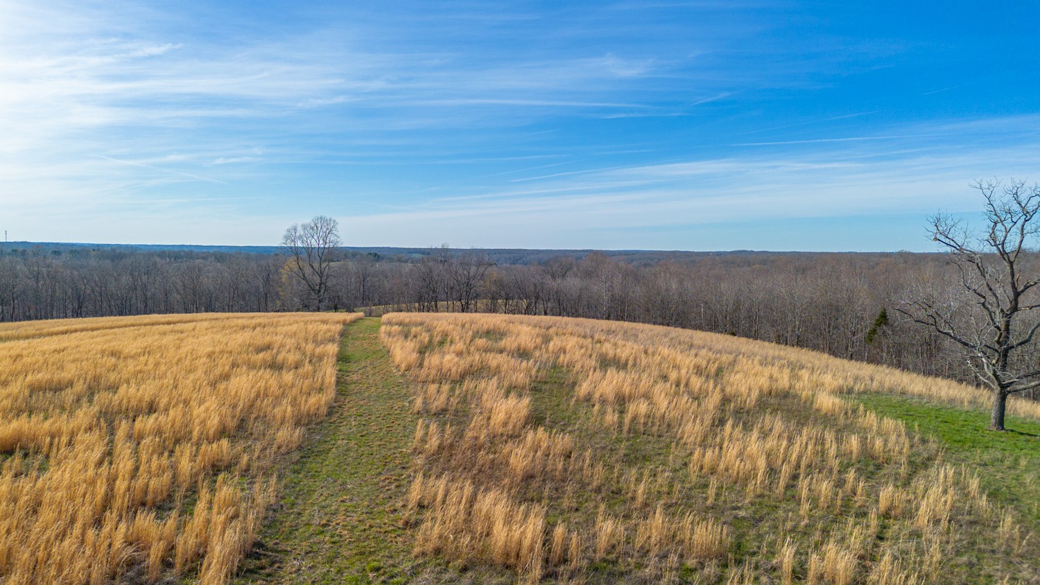 6376 Beard Road Primm Springs, TN 38476 - Photo 35 of 46