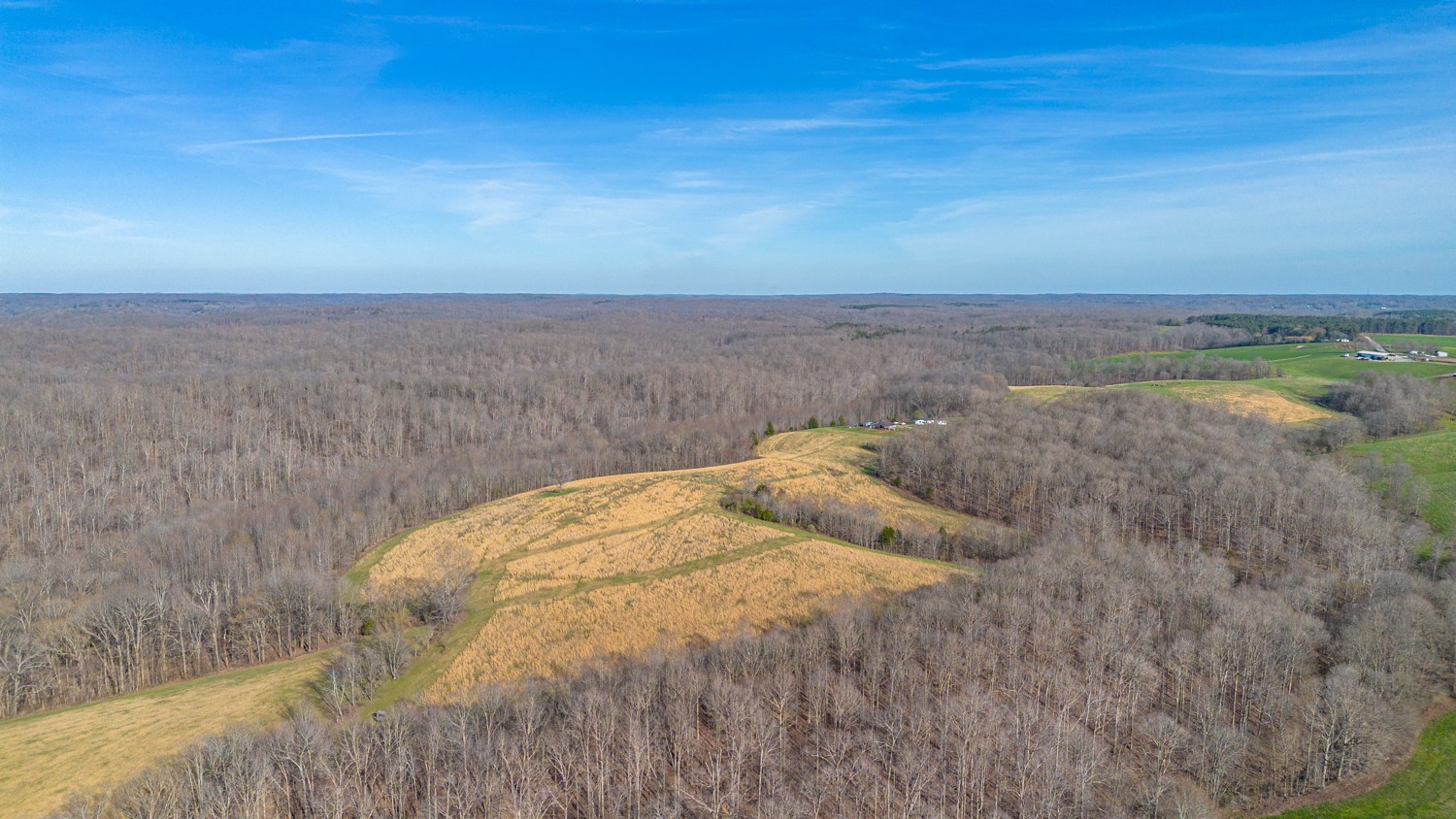 6376 Beard Road Primm Springs, TN 38476 - Photo 37 of 46