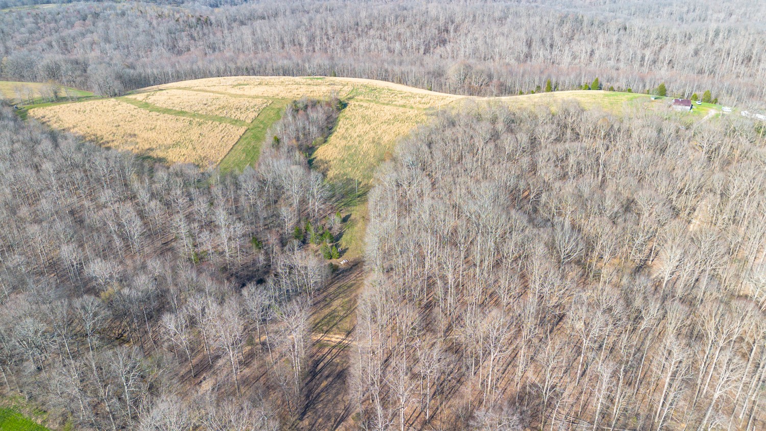 6376 Beard Road Primm Springs, TN 38476 - Photo 38 of 46