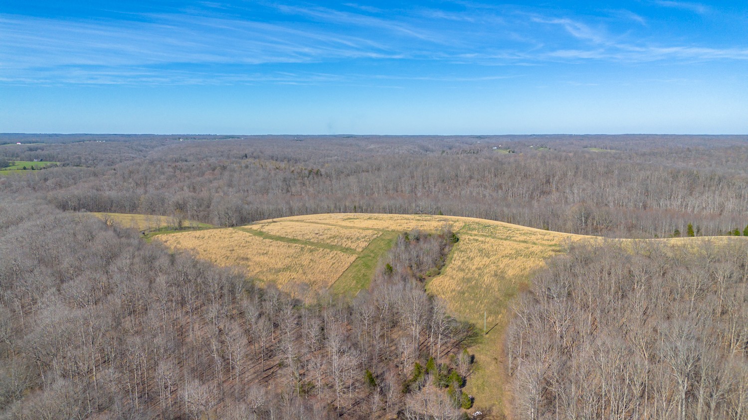 6376 Beard Road Primm Springs, TN 38476 - Photo 39 of 46