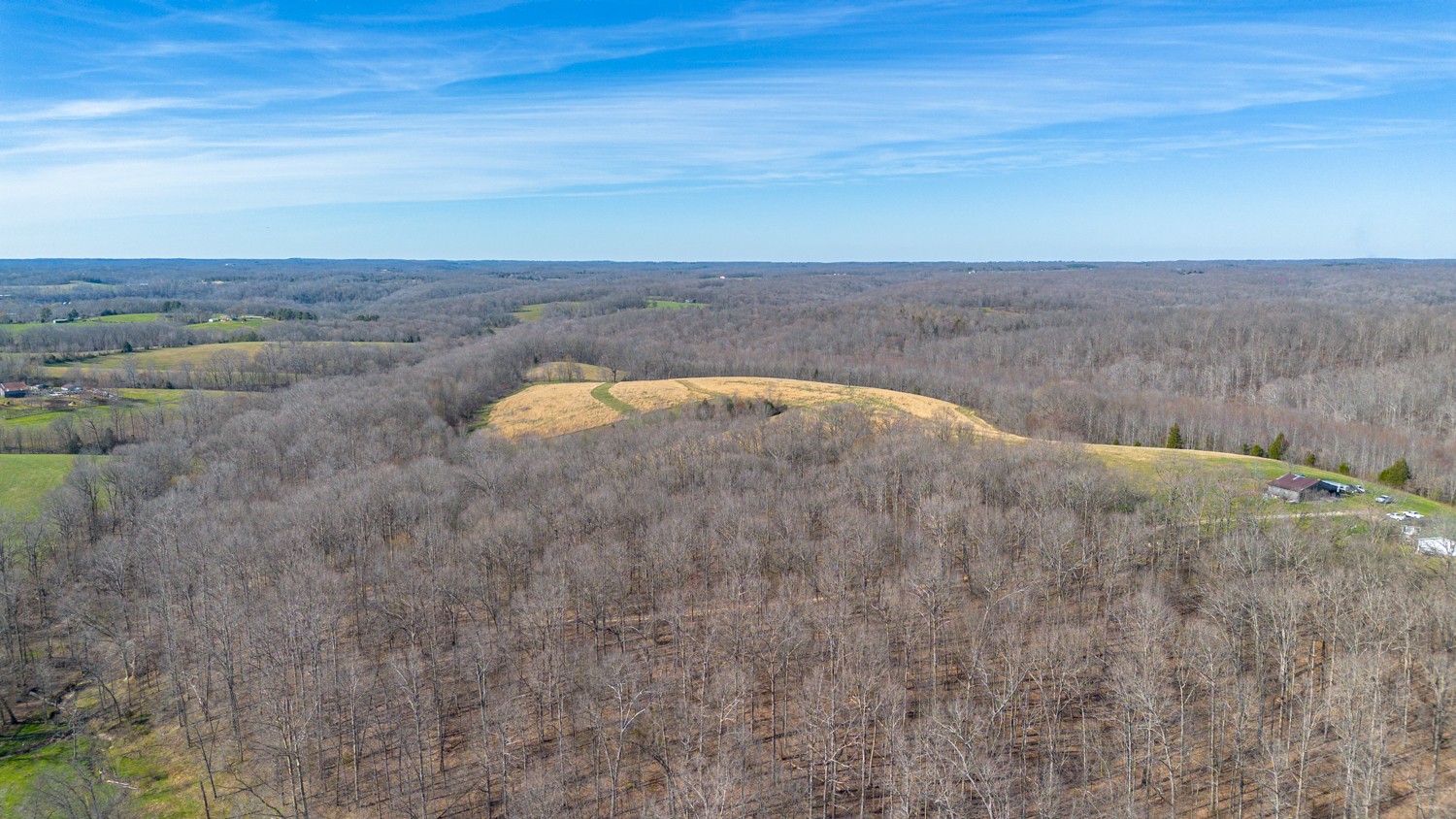 6376 Beard Road Primm Springs, TN 38476 - Photo 40 of 46