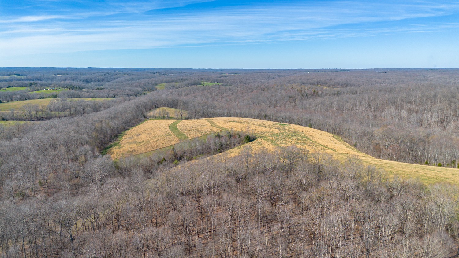 6376 Beard Road Primm Springs, TN 38476 - Photo 41 of 46