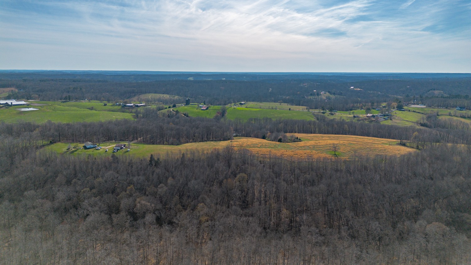 6376 Beard Road Primm Springs, TN 38476 - Photo 42 of 46