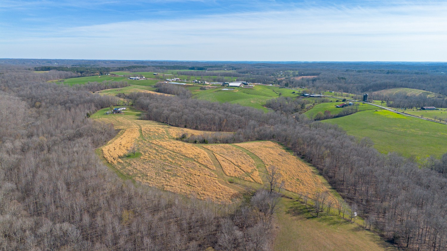 6376 Beard Road Primm Springs, TN 38476 - Photo 43 of 46