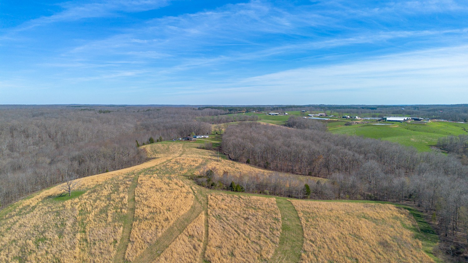 6376 Beard Road Primm Springs, TN 38476 - Photo 44 of 46