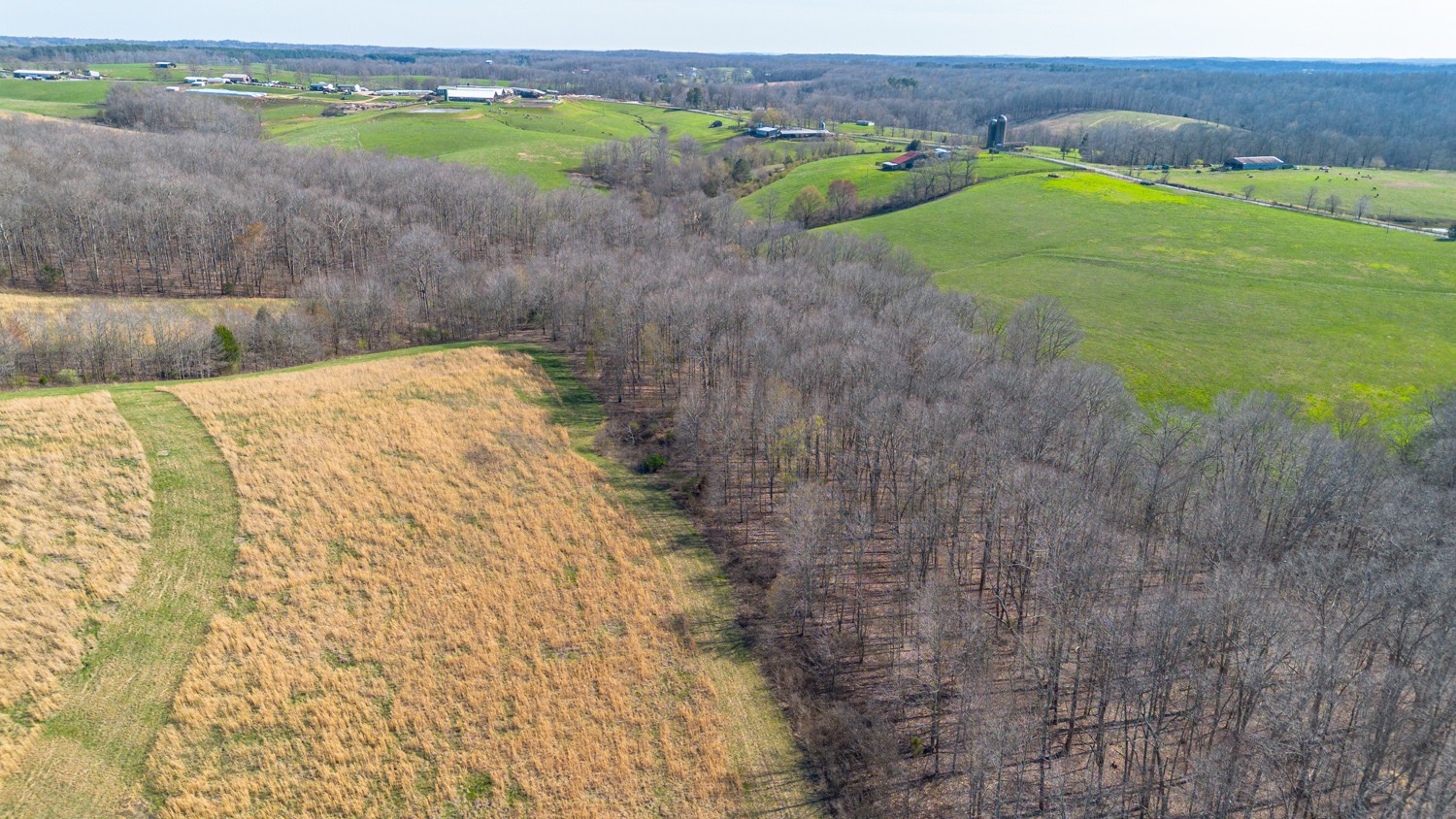 6376 Beard Road Primm Springs, TN 38476 - Photo 45 of 46