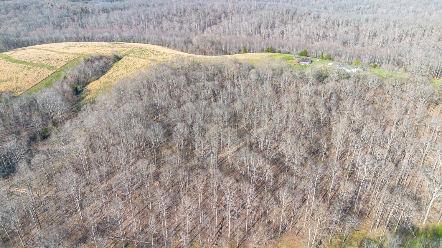 6376 Beard Road Primm Springs, TN 38476 - Photo 46 of 46