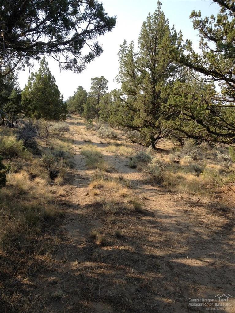 5 acre buildable parcel has large old gr