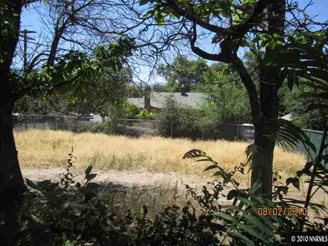 137 Burns Street Reno, NV 89502 - Photo 8 of 9 a view of a lake with a tree