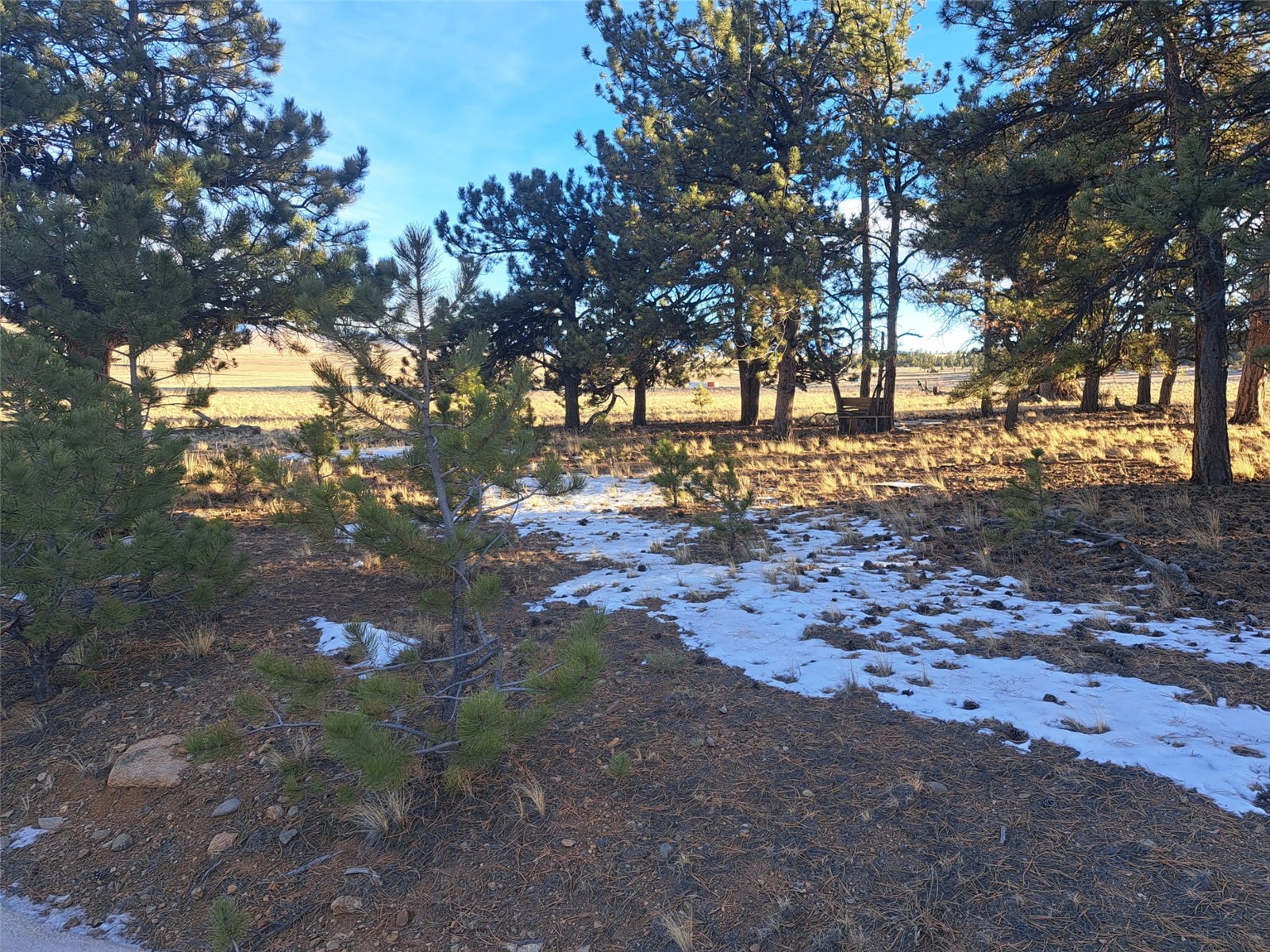 186 Boulder Road Hartsel, CO 80449 - Photo 17 of 33 Gallery Image 17