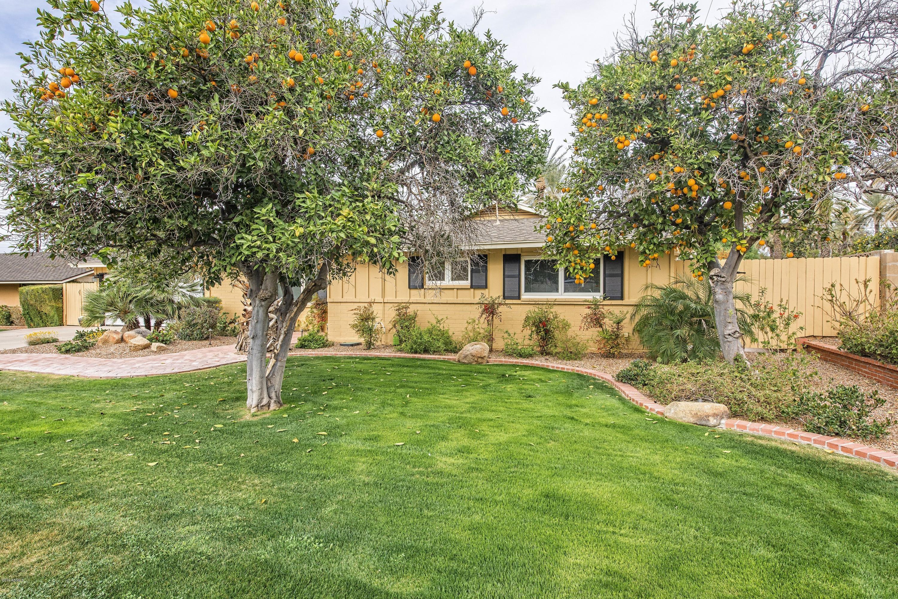 4406 North Dromedary Road Phoenix, AZ 85018 - Photo 2 of 18 003_Front Landscape