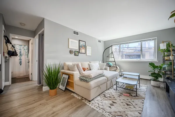 a living room with furniture and a potted plant