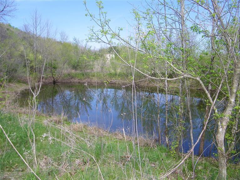 1 Hermit Ridge Road Richmond, KY 40475 - Photo 7 of 8 Photo 7
