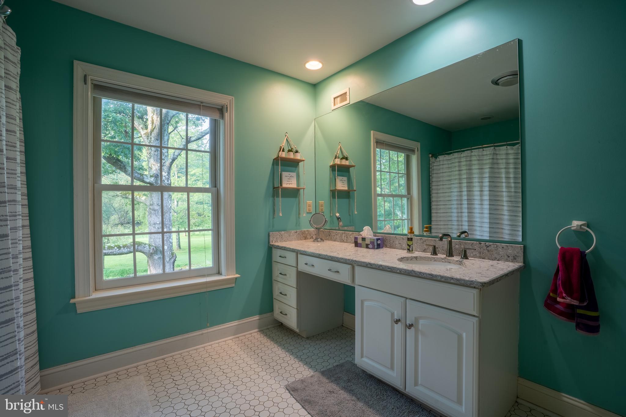 1627 East Saw Mill Road Quakertown, PA 18951 - Photo 51 of 61 a bathroom with a double vanity sink and mirror