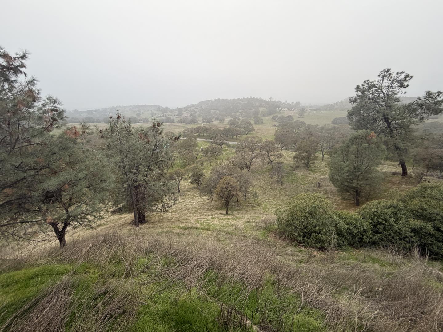 2461 Quail Oaks Road Valley Springs, CA 95252 - Photo 11 of 21