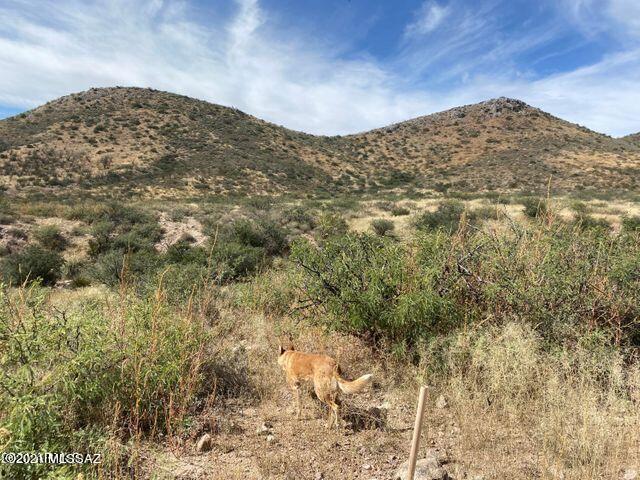 36 Acres Douglas Az 85607 Douglas, AZ 85607 - Photo 18 of 29