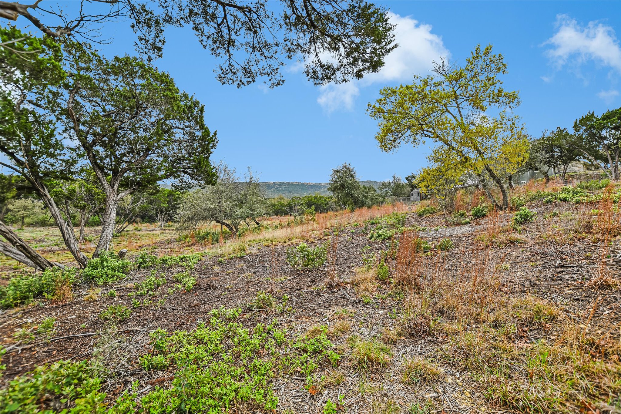 0 Deer Run Road Leander, TX 78641 - Photo 11 of 20 a view of a yard with a tree