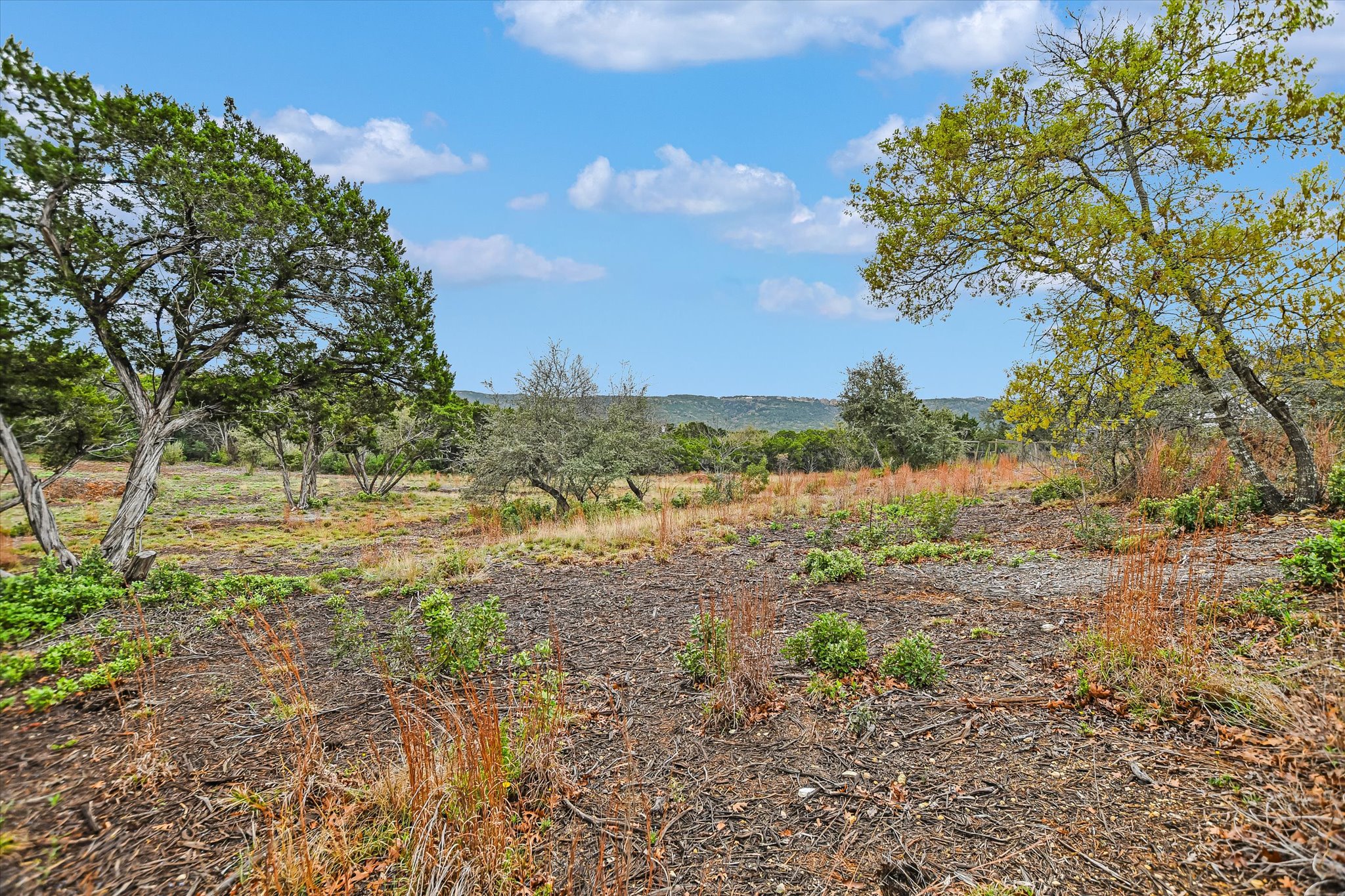 0 Deer Run Road Leander, TX 78641 - Photo 12 of 20 a view of a yard with an trees
