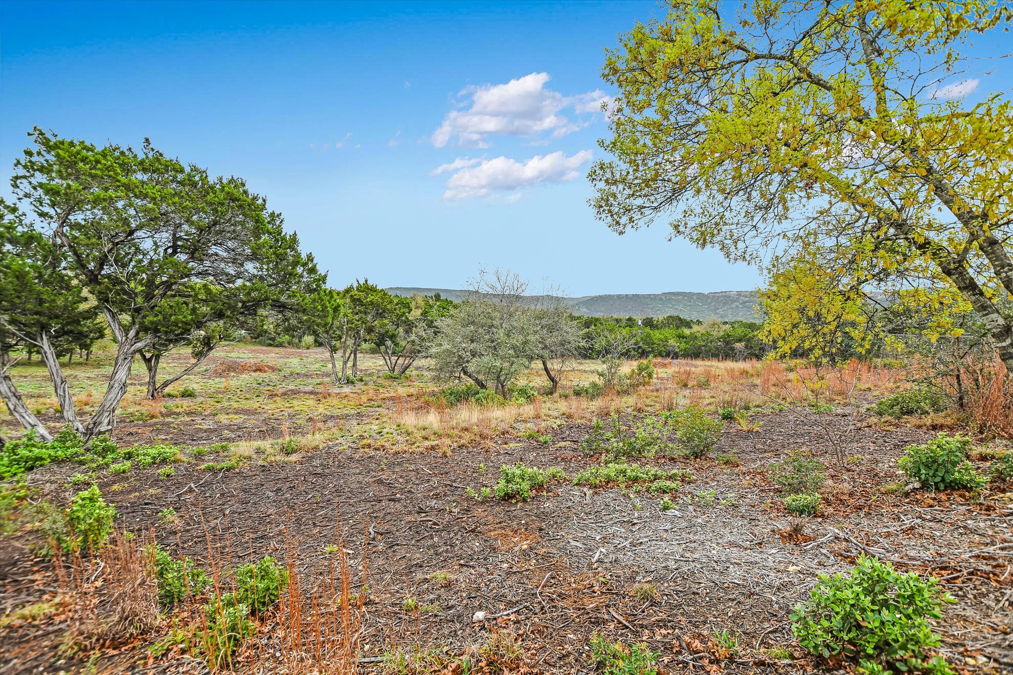 0 Deer Run Road Leander, TX 78641 - Photo 13 of 20 a view of a yard with an trees