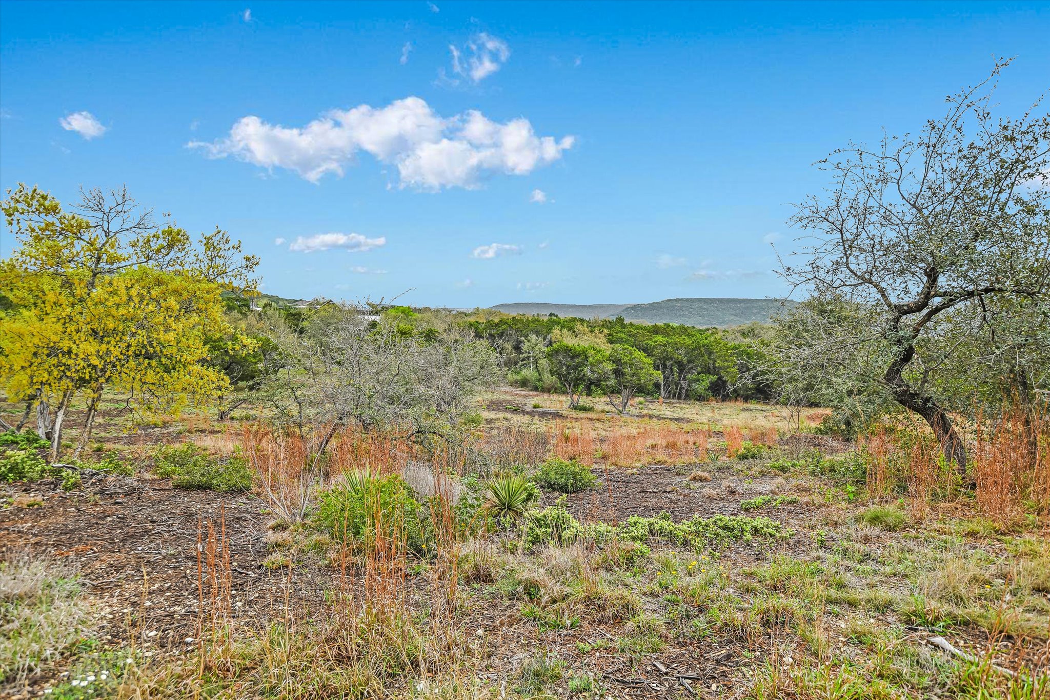 0 Deer Run Road Leander, TX 78641 - Photo 14 of 20 a view of a yard with a tree